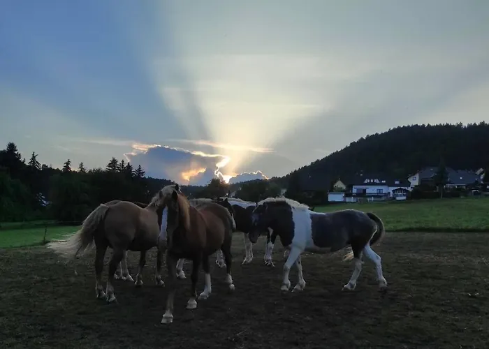 Ferienwohnung Am Tor Zum Thueringer Wald 2