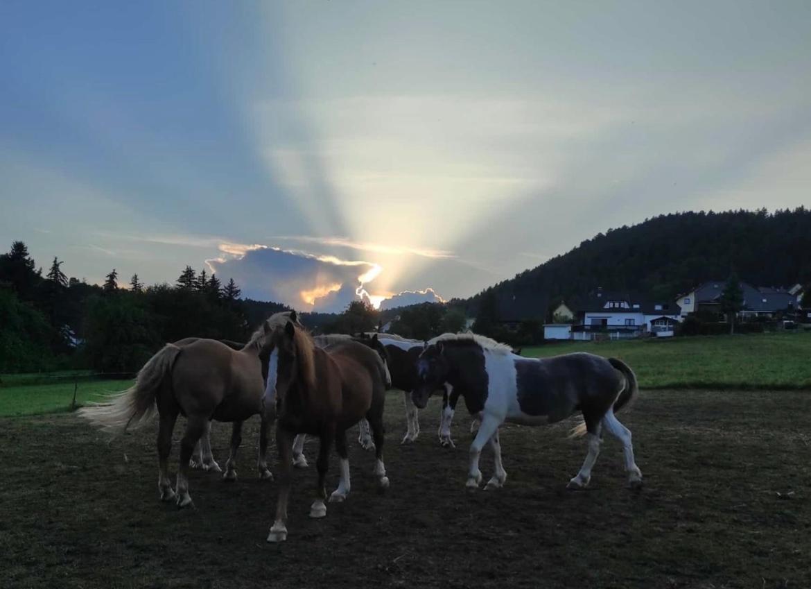 Am Tor Zum Thueringer Wald 2 * Plaue (Thuringia)